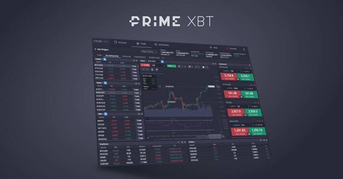 Understanding the Dynamics of PrimeXBT Forex Trading Pairs